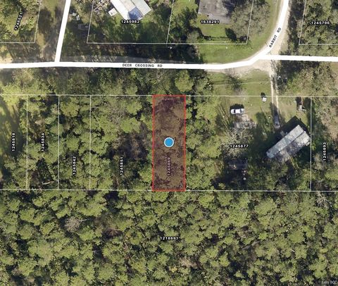 TBD DEER CROSSING ROAD ALTOONA FL 32702