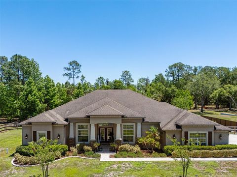 Photo of 8224 Spring Forest Lane, Wesley Chapel, FL 33544 (MLS # TB8508179)