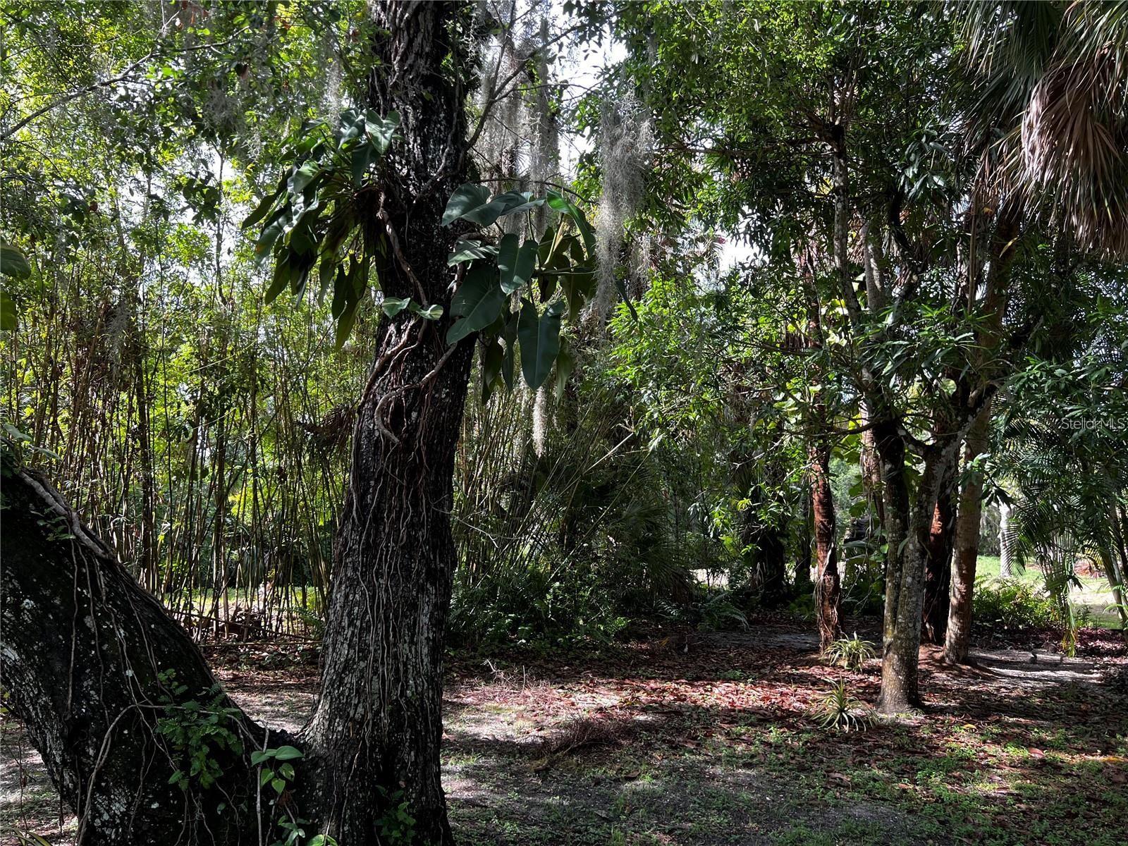 TIMBERLAKES - Residential Lease