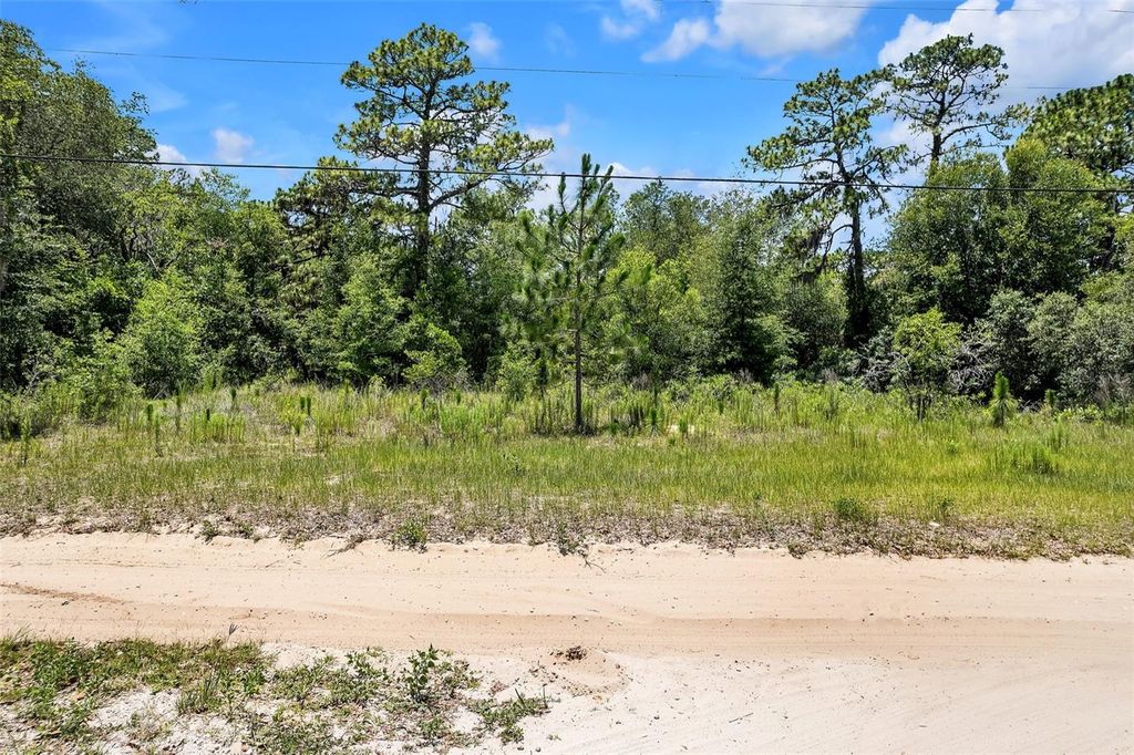 Photo of 620 S Fairlane Terrace, Lecanto, FL 34461 (MLS # OM703581)