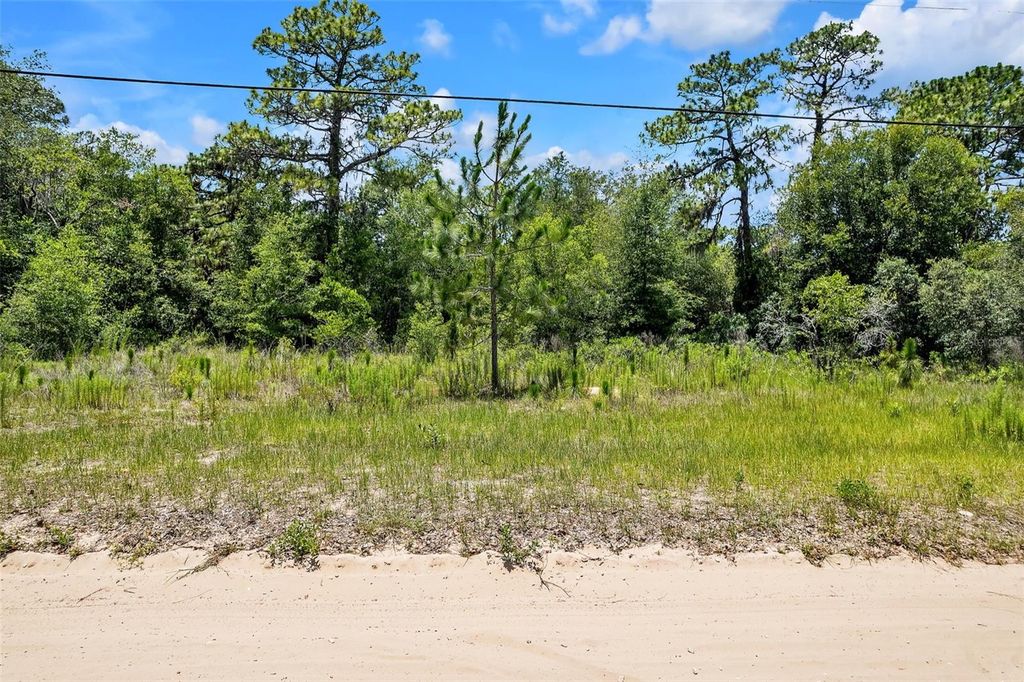 Photo of 620 S Fairlane Terrace, Lecanto, FL 34461 (MLS # OM703581)