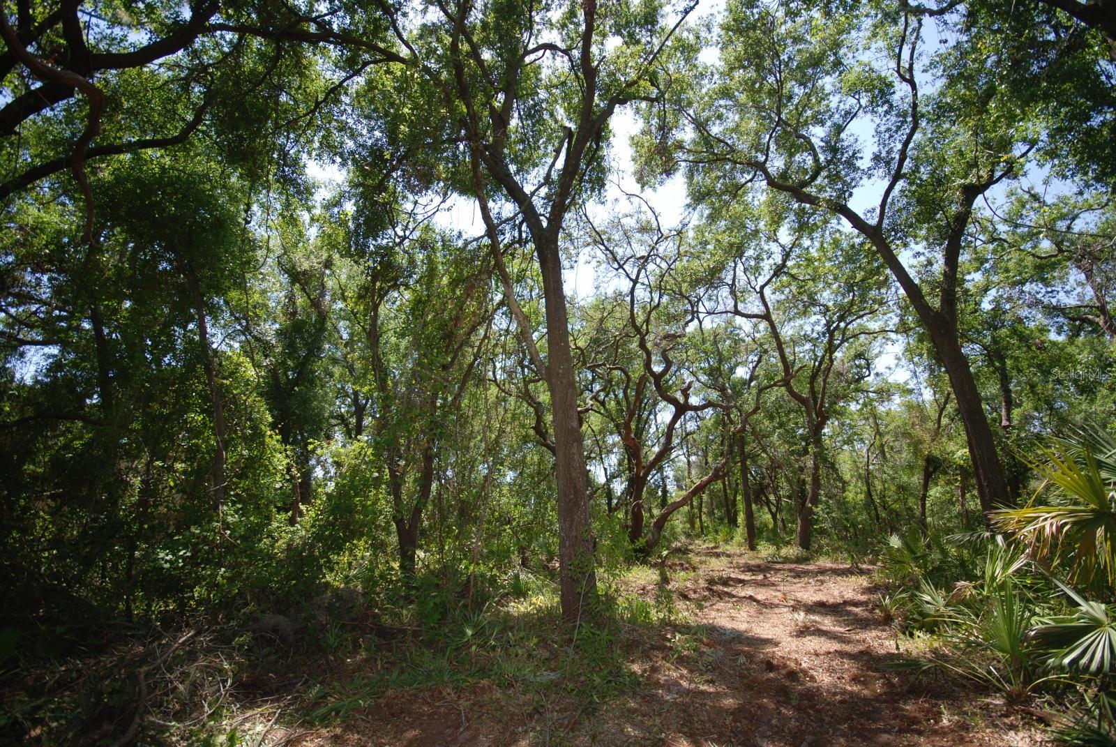 2905 CHELSEA WOODS DRIVE