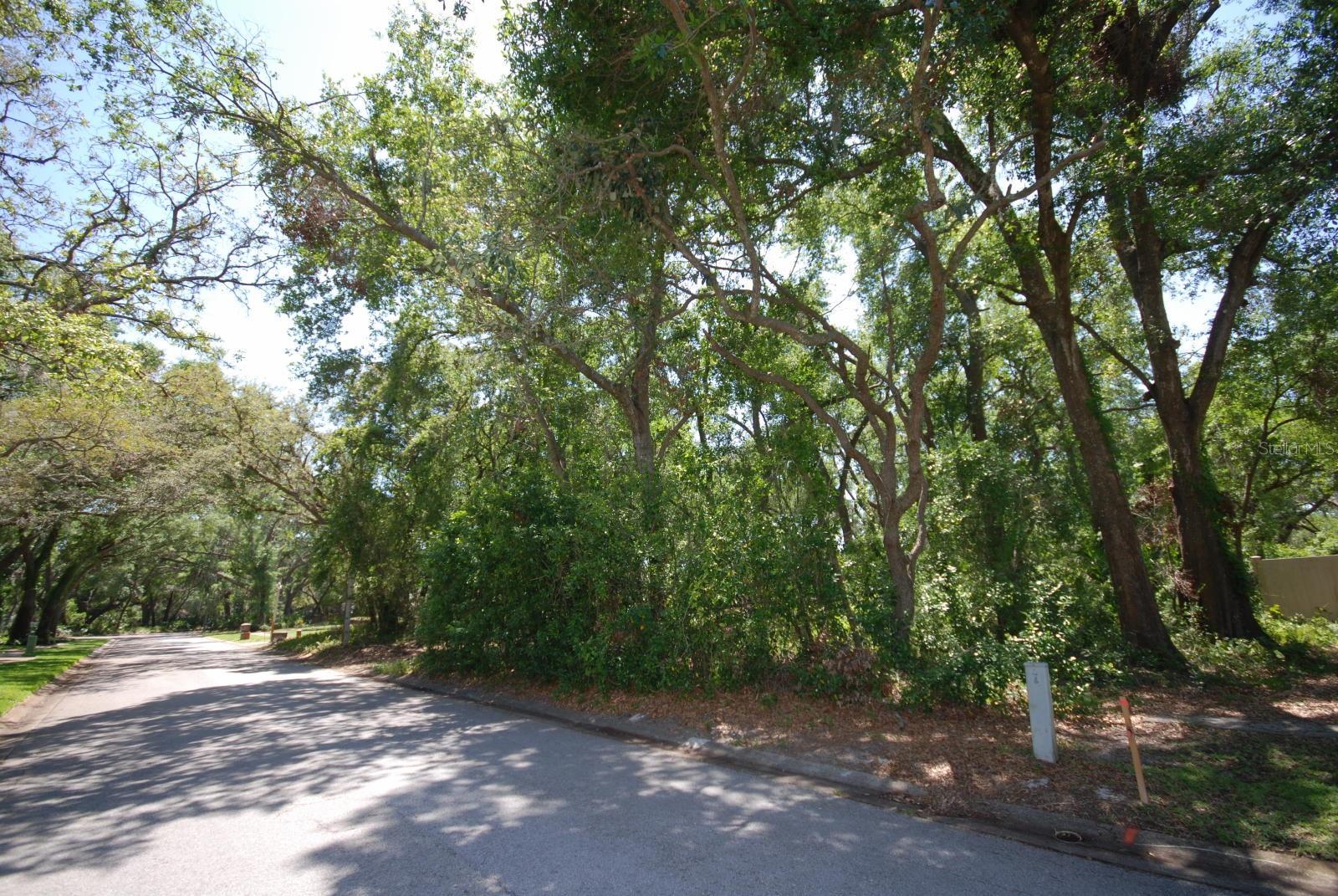 2905 CHELSEA WOODS DRIVE
