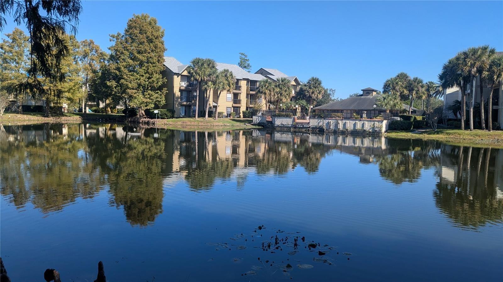 PLAZA/MILLENIUM - Residential Lease