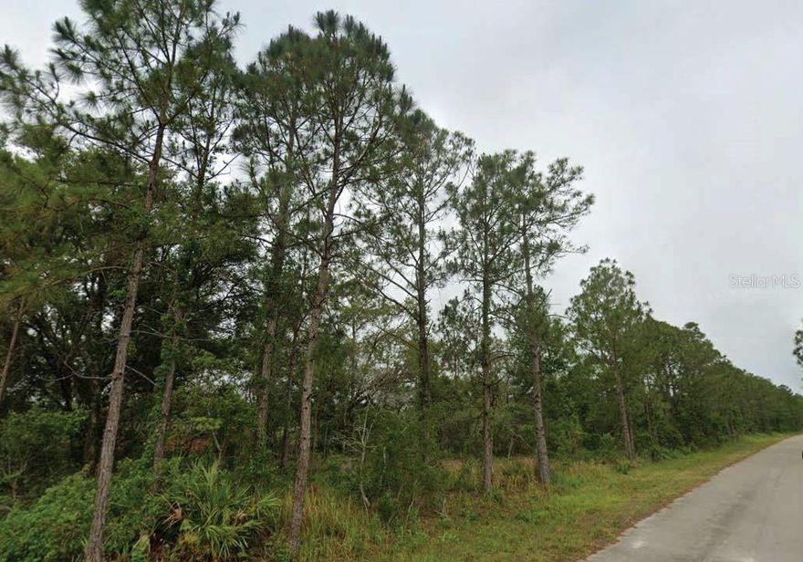 Rare opportunity to acquire four adjoining lots in the desirable Sun ’N Lake Estates of Sebring. Conveniently located near golf, shopping, medical, and dining, these parcels offer flexible potential for building or investment. The combined frontage along Marin Street and Leonardo Street provides excellent accessibility and layout options. Whether you’re looking to develop multiple homes or hold for future value, this package is well worth considering. All information is deemed reliable but should be independently verified.