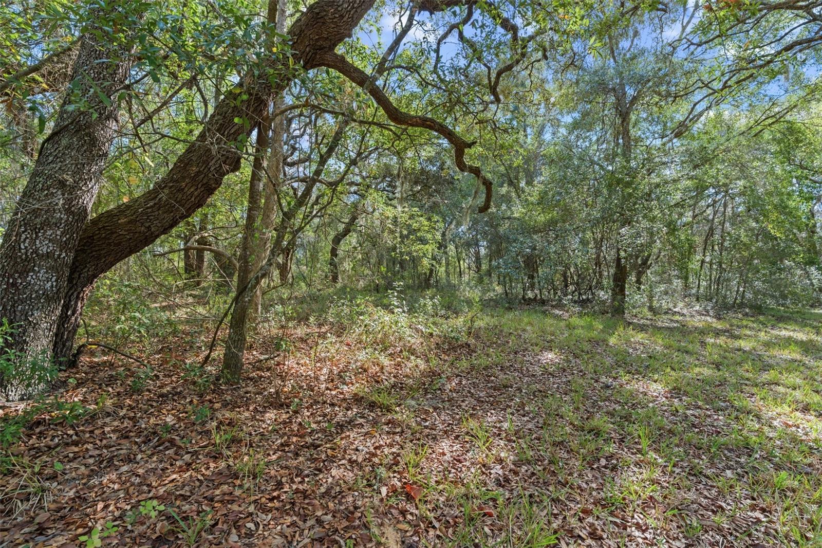 4290 W NORVELL BRYANT HIGHWAY