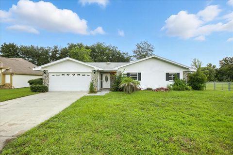 Photo of 4262 S Centennial Avenue, Homosassa, FL 34446 (MLS # TB8420909) Photo of 4262 S Centennial Avenue, Homosassa, FL 34446 (MLS # TB8420909)