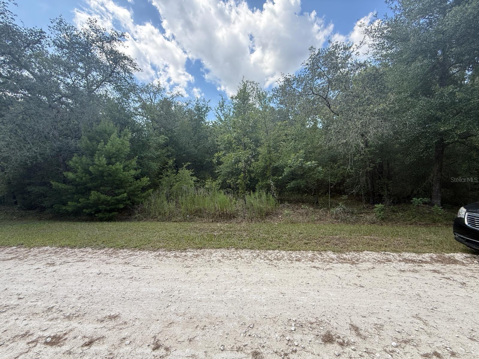 Build your dream home on this 1.16 acre lot in the quiet community of Rolling Hills. Just 15 minutes from the World Equestrian Center! No HOA is a plus if you own an RV or boat, stop paying storage fees for your toys keep them right at home. Restaurants, shopping, banks, etc. all just minutes from this location, yet you feel like you're away from it all.