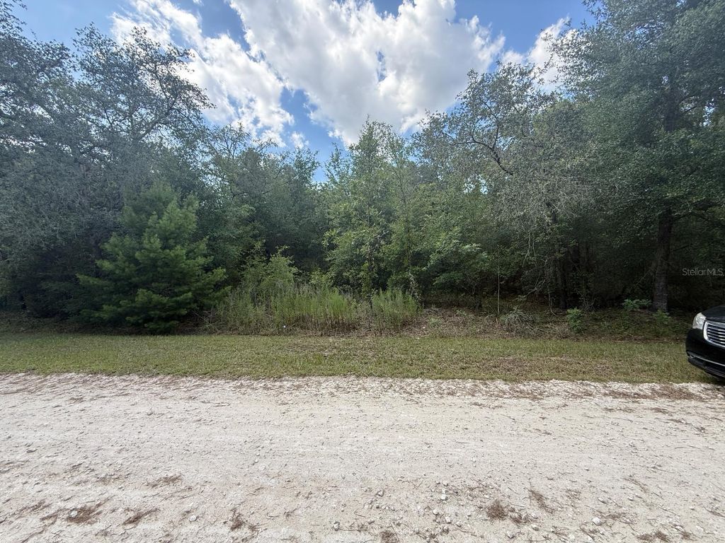 Photo of Tbd 98th Street, Dunnellon, FL 34432 (MLS # S5129720)