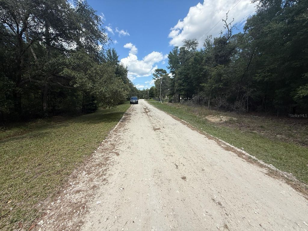 Photo of Tbd 98th Street, Dunnellon, FL 34432 (MLS # S5129720)