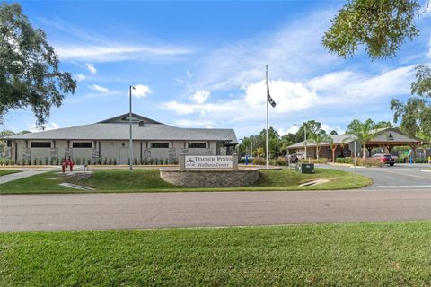 A home in SPRING HILL