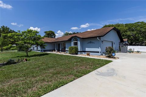 5521 OAK STREET MOUNT DORA FL 32757