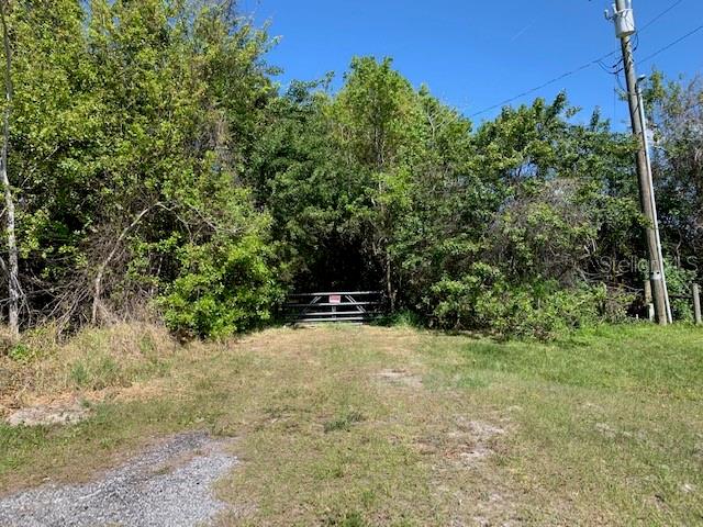 Photo of 1290 Cinder Lane, Kissimmee, FL 34744 (MLS # S5093500)