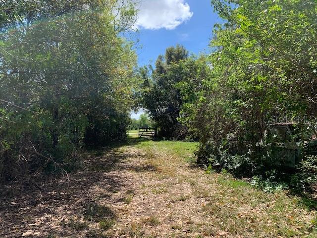 ACREAGE & UNREC - Land