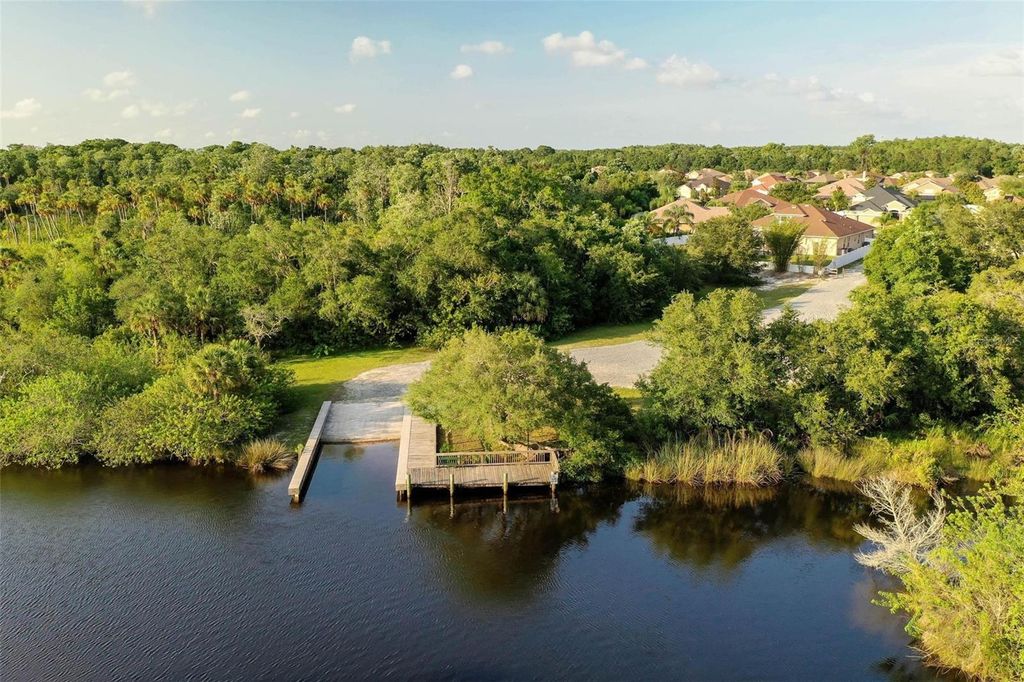 Photo of 6109 Japonica Court, Trinity, FL 34655 (MLS # W7874528)