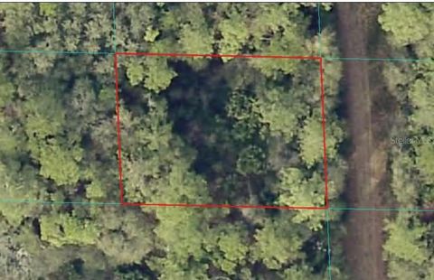 00 NE 66TH COURT CITRA FL 32113