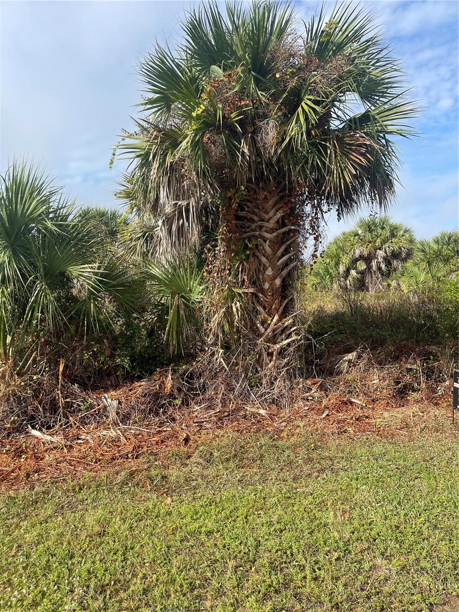 PORT CHARLOTTE SEC 085 - Land