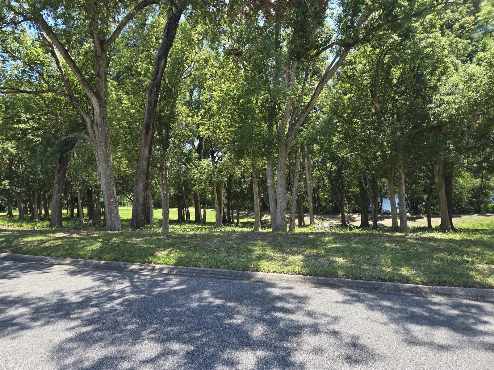 ZELLWOOD STATION COOP MH PARK - Residential