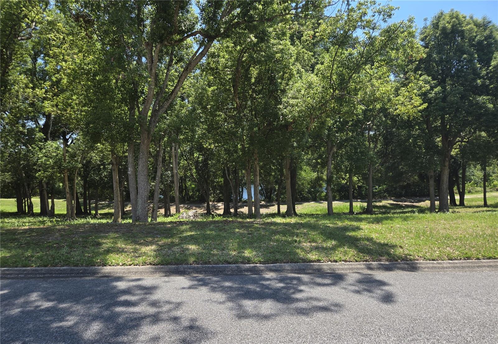 ZELLWOOD STATION COOP MH PARK - Residential