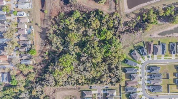 MIRACLE LN, ODESSA, FL 33556 - Image 3592248ca7ea84f6d13a563abc94ba8e/1342869296