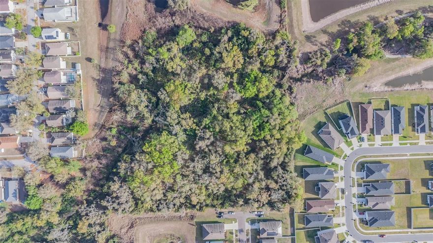 Rare opportunity to acquire over 4.1 acres of development land at the end of Miracle Mile Ave in rapidly growing Riverview, Florida. Ideally positioned in one of Hillsborough County’s fastest-expanding corridors, this property offers exceptional potential for residential development, private estate use, or future investment in a high-demand area.

The site is surrounded by established neighborhoods and ongoing growth, while still offering privacy and flexibility for a variety of development possibilities. Located just minutes from major transportation routes including US-301 and I-75, the property provides convenient access throughout the Tampa Bay region.

Residents and future development will enjoy close proximity to everyday conveniences including grocery stores, dining, retail centers, and medical facilities within just a few miles. Major retail hubs, entertainment, and employment centers are a short drive away in Brandon, Florida and Downtown Tampa, while commuters and travelers benefit from easy access to Tampa International Airport, approximately 21–22 miles away (about a 25–30 minute drive).
