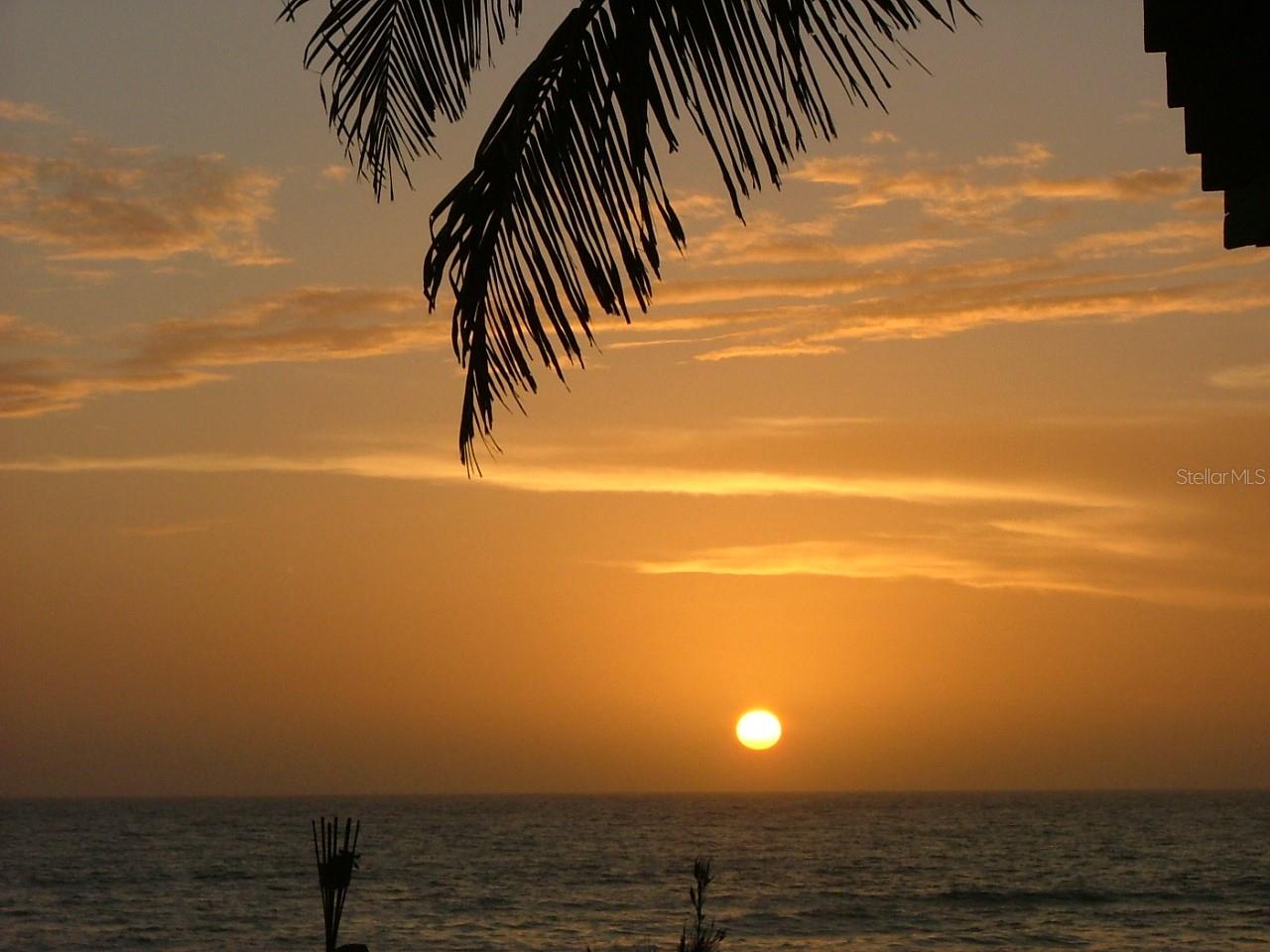 ILEXHURST - Residential