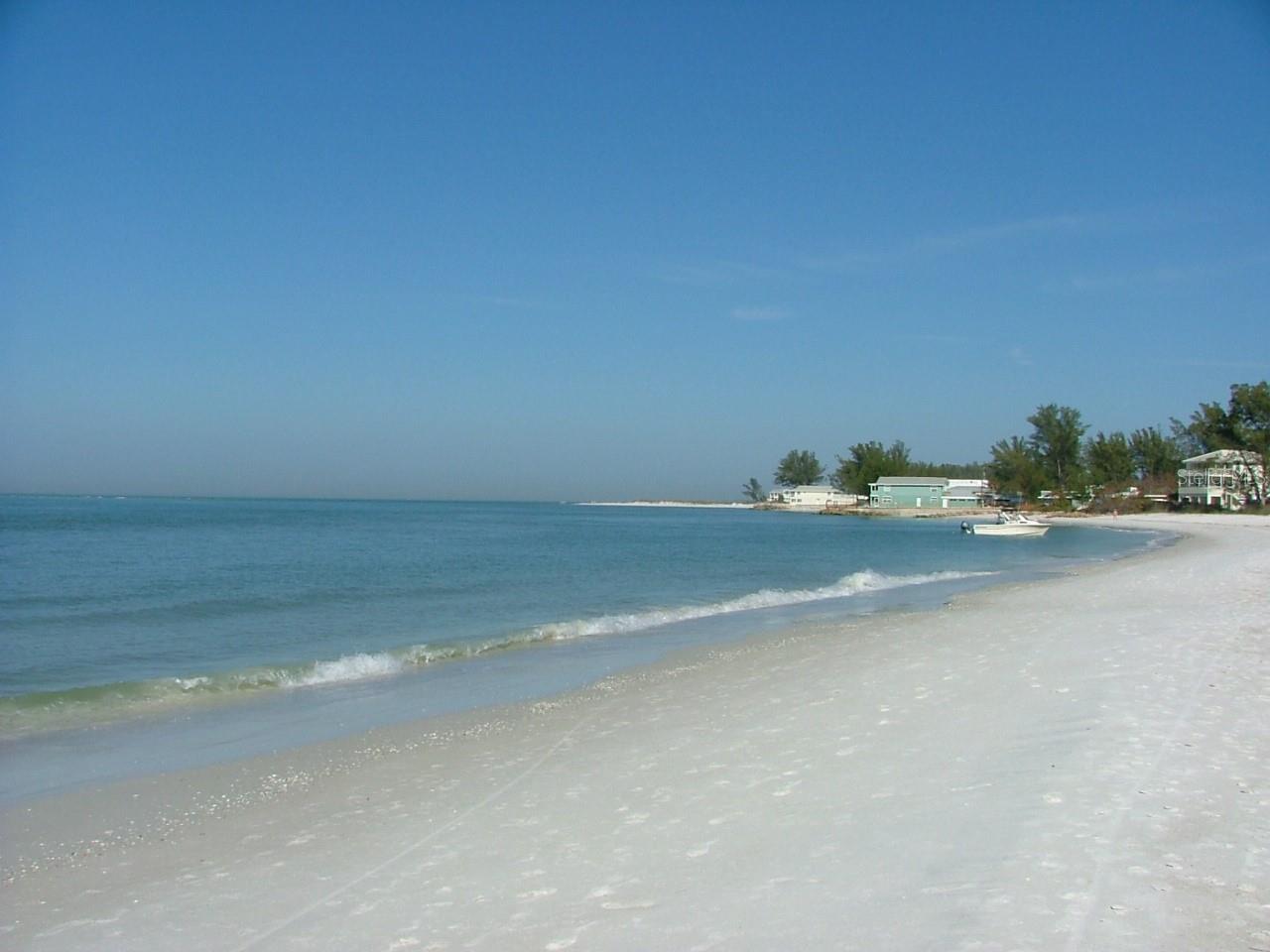 ILEXHURST - Residential