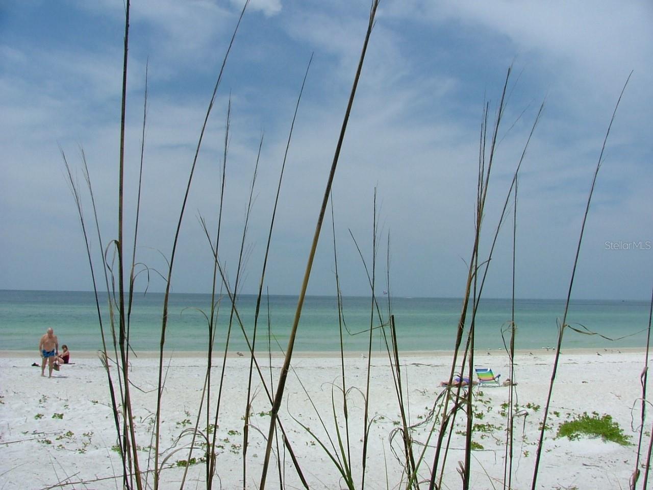 ILEXHURST - Residential