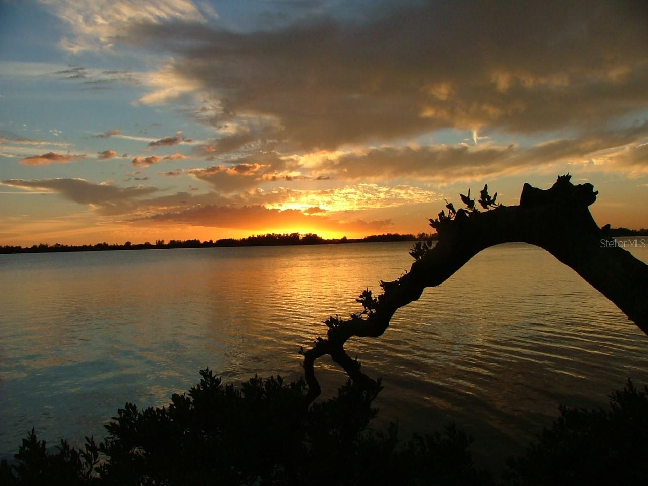 ILEXHURST - Residential