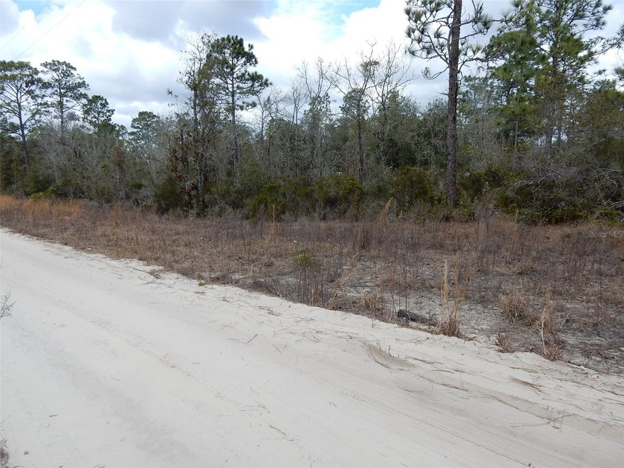 OAK RIDGE ESTATES 0.24 ACRE BUILDING LOT! Located between Bronson and Williston with an easy commute to Gainesville or Ocala. Parcel measures about 84' on the road and 125' deep. Located just 10 minutes to the world famous Devil's Den springs to dive in or just cool off from the hot summer days. Williston offers a central location to plenty of out door activities. Salt and fresh water fishing, Swimming in your choice of springs, Horse back riding in multiple riding trails in Goethe Forest. Manufactured or site built homes are okay for this subdivision.