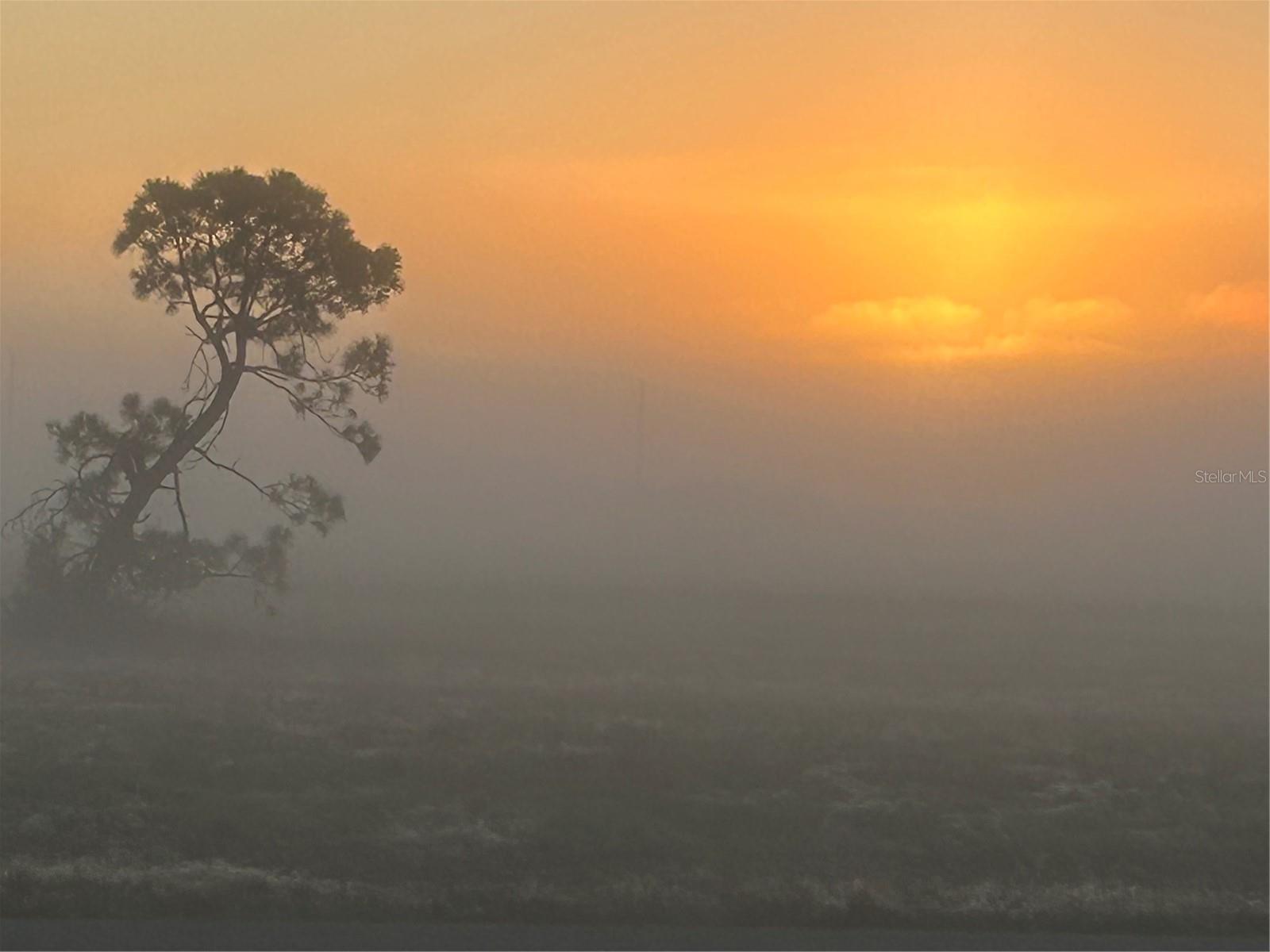 ROTONDA MEADOWS - Residential