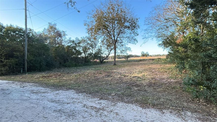 Financing options are available! Located on the North side of Clermont and 10 minutes from great schools, shopping, restaurants and Waterfront Park! No HOA!! Great for building primary OR investment property.