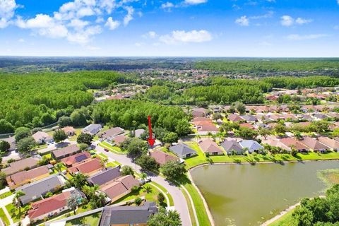 A home in LAND O LAKES