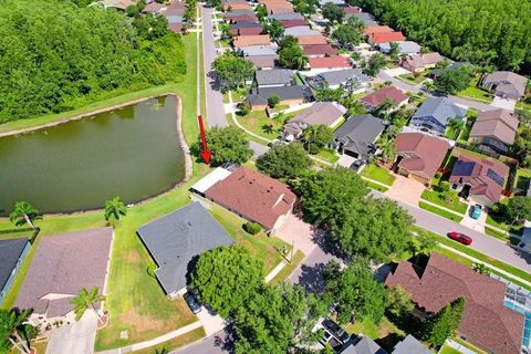 A home in LAND O LAKES