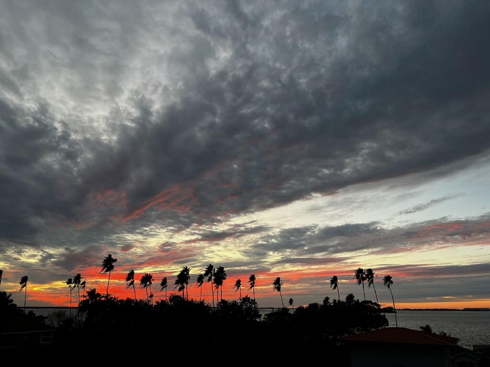 DUNEDIN ISLES 1 - Residential