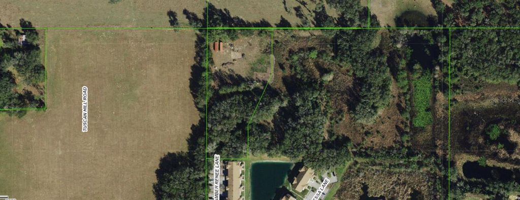 Photo of 12896 Amber Renee Lane, Dade City, FL 33525 (MLS # TB8404721)