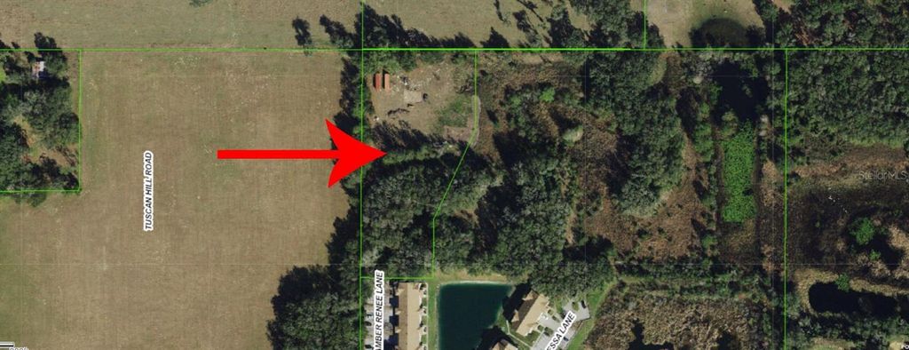 Photo of 12896 Amber Renee Lane, Dade City, FL 33525 (MLS # TB8404721)