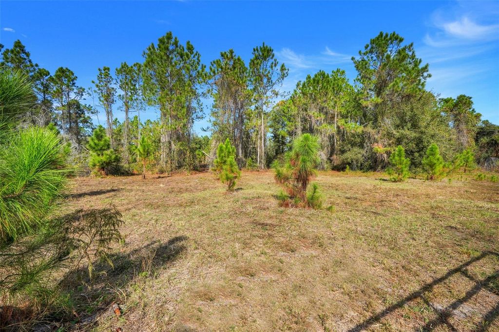 Photo of Youth Camp Road, Groveland, FL 34736 (MLS # G5105436)