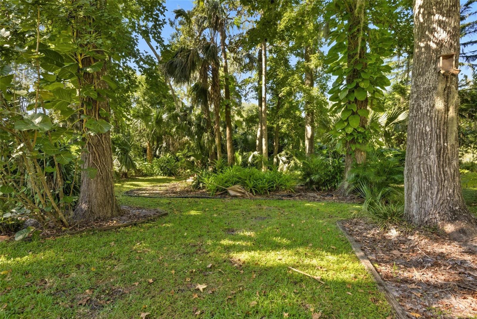 HALIFAX PLANTATION PH 01 SEC A - Residential