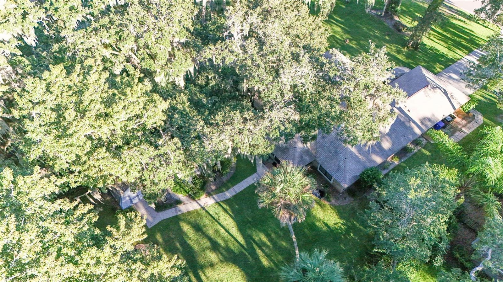 HALIFAX PLANTATION PH 01 SEC A - Residential