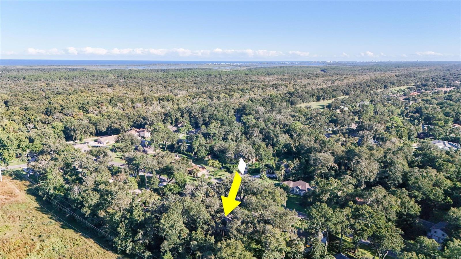 HALIFAX PLANTATION PH 01 SEC A - Residential