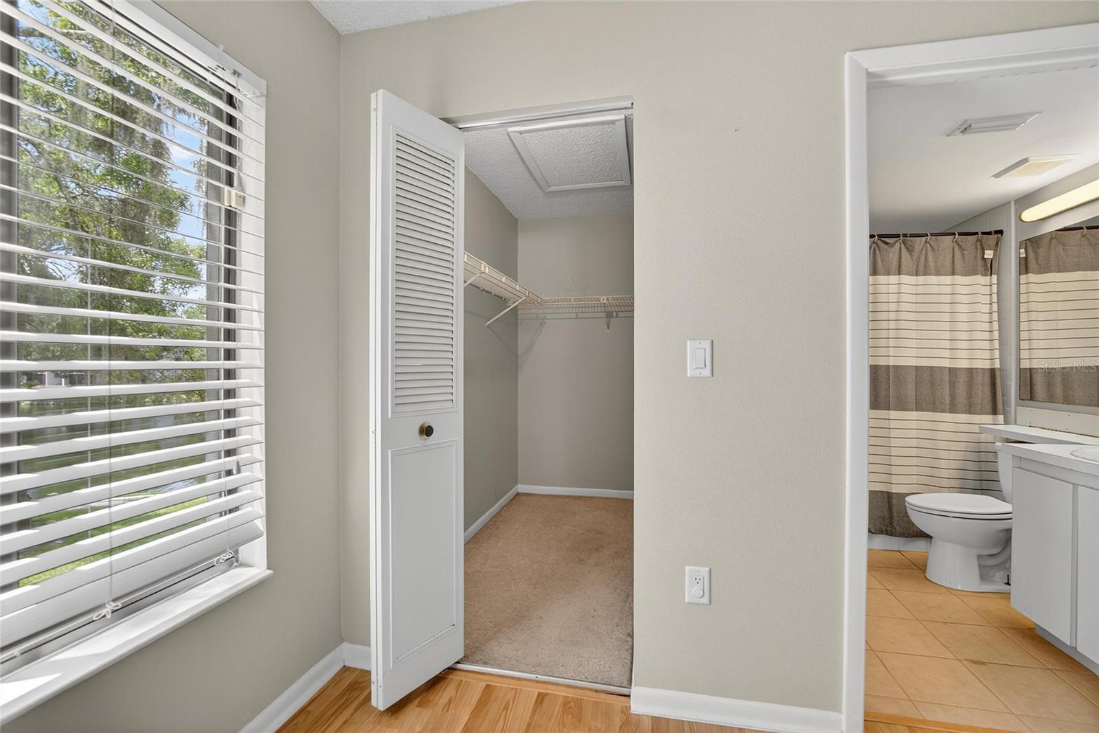 PINE RIDGE AT LAKE TARPON VILLAGE - Residential