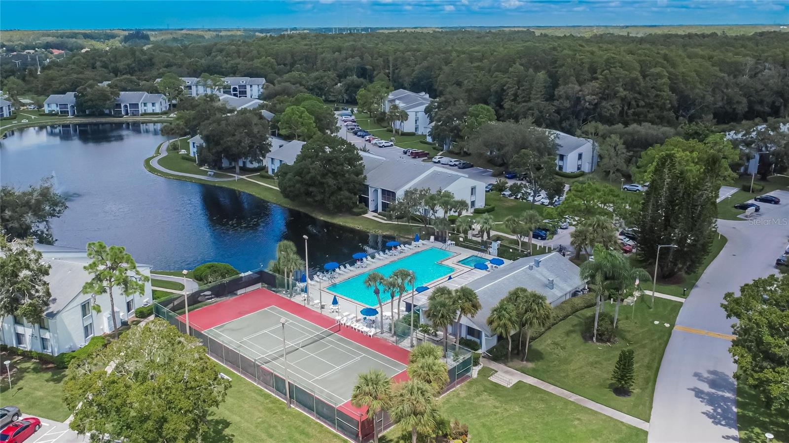 PINE RIDGE AT LAKE TARPON VILLAGE - Residential