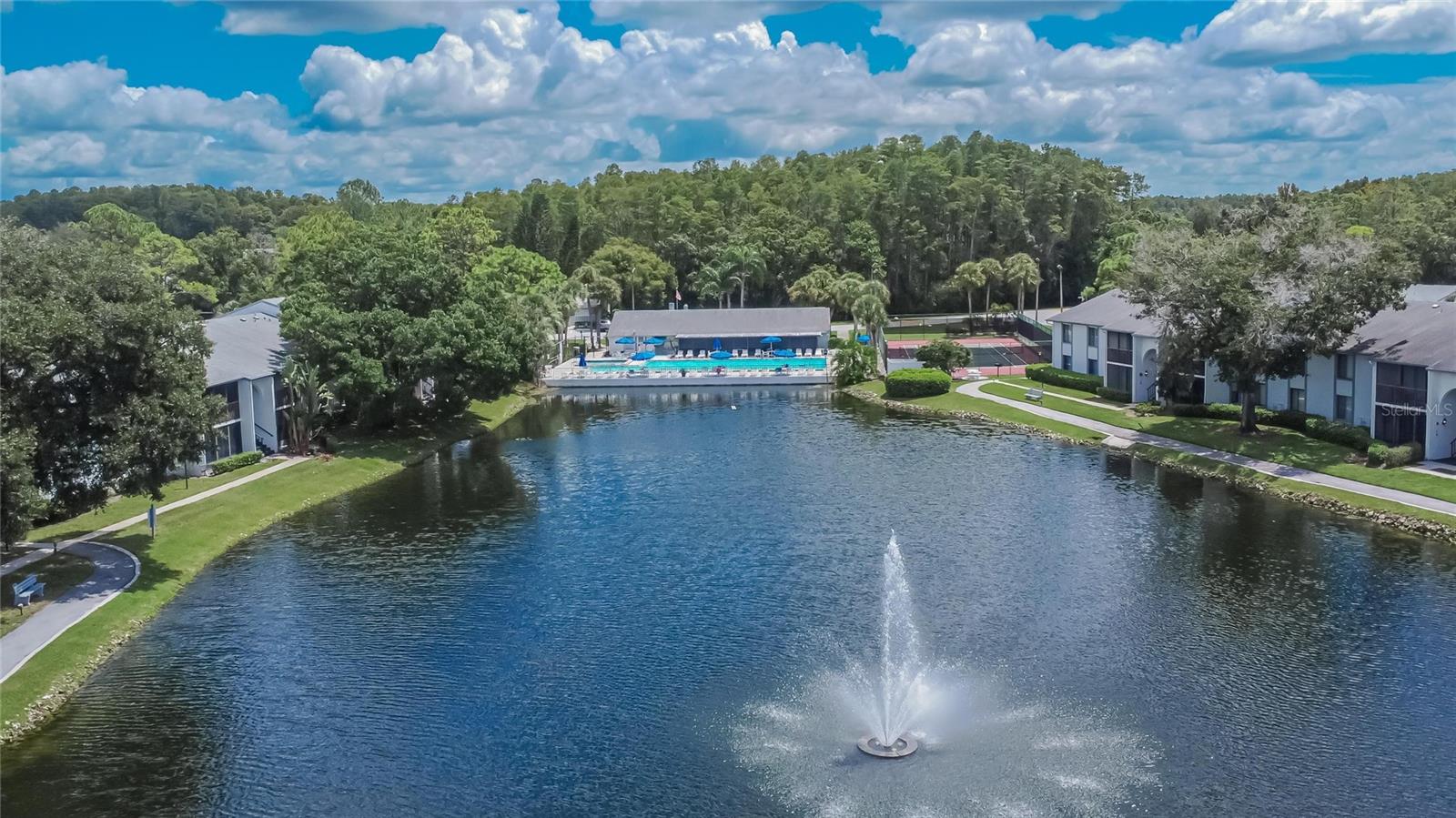 PINE RIDGE AT LAKE TARPON VILLAGE - Residential