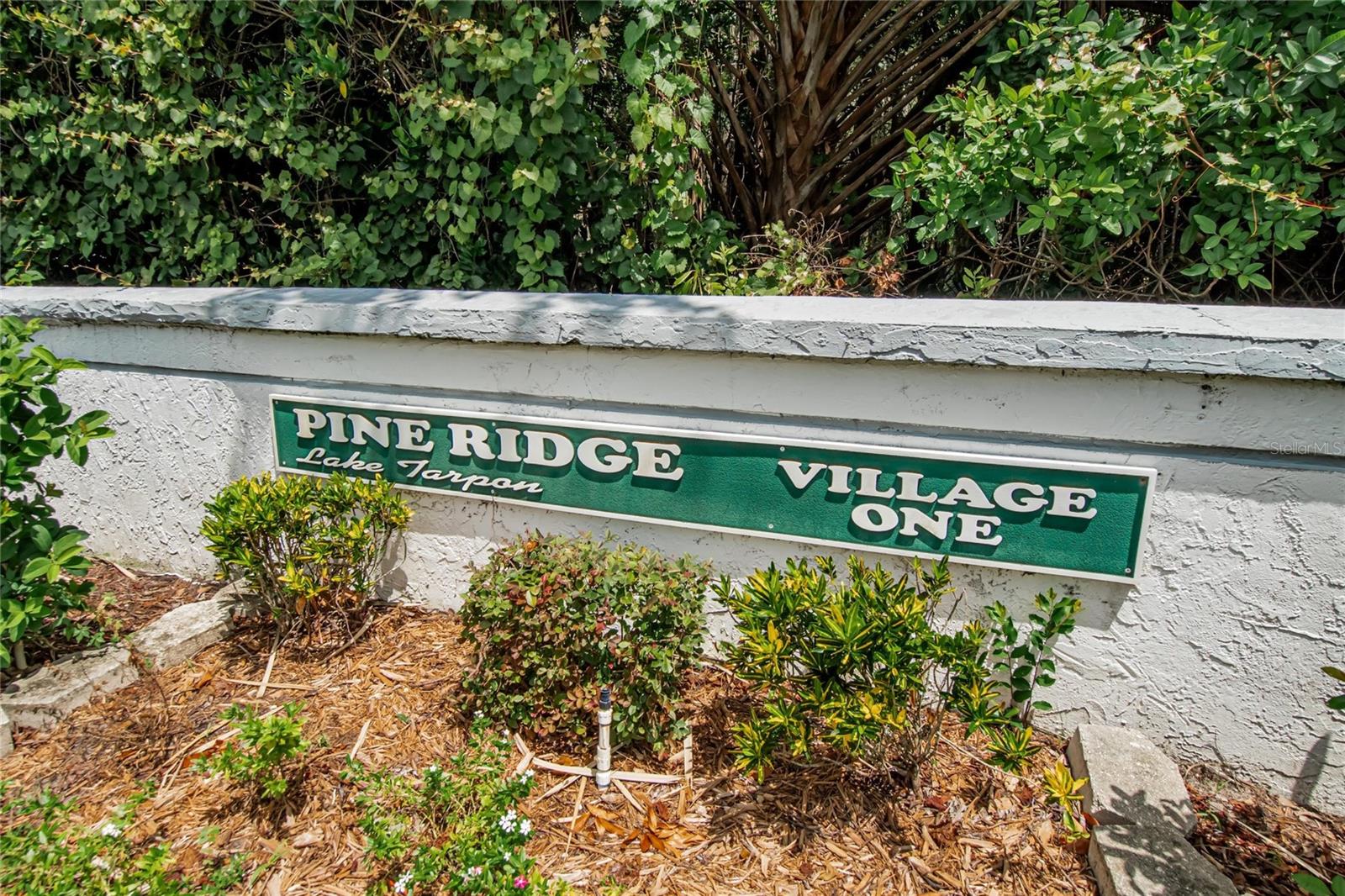 PINE RIDGE AT LAKE TARPON VILLAGE - Residential
