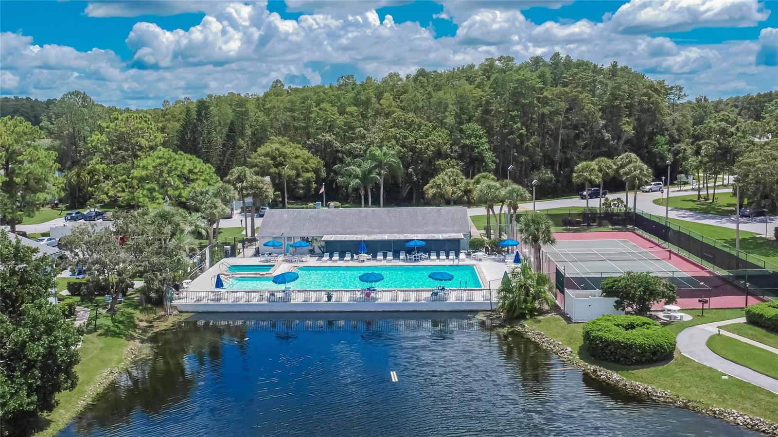 PINE RIDGE AT LAKE TARPON VILLAGE - Residential