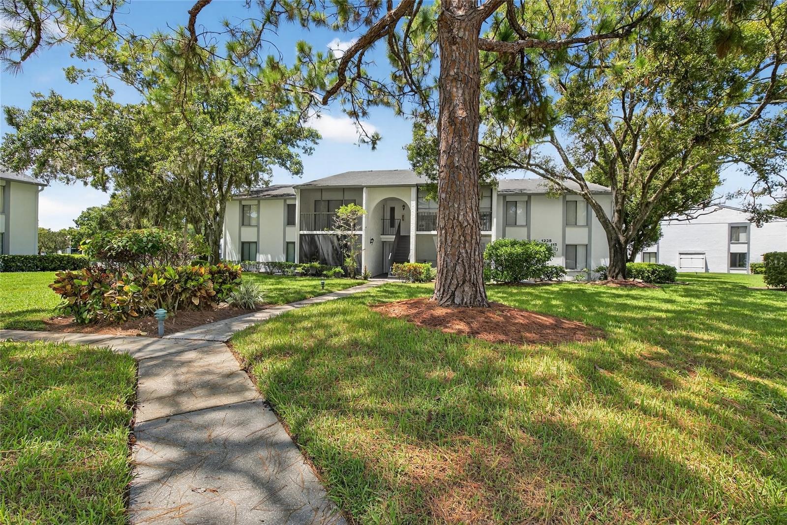 PINE RIDGE AT LAKE TARPON VILLAGE - Residential