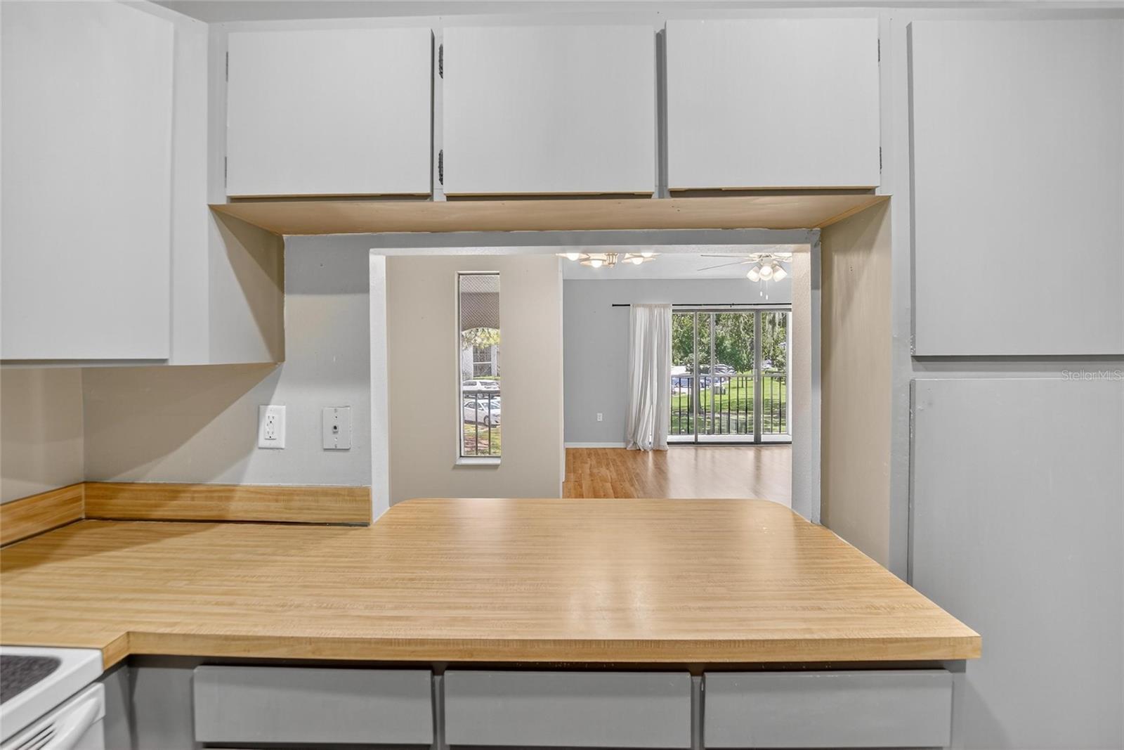 PINE RIDGE AT LAKE TARPON VILLAGE - Residential