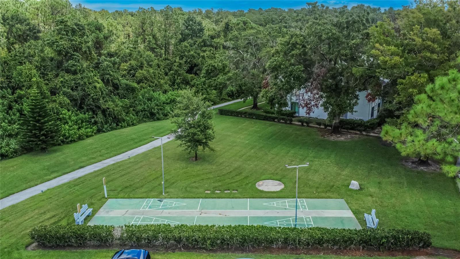 PINE RIDGE AT LAKE TARPON VILLAGE - Residential