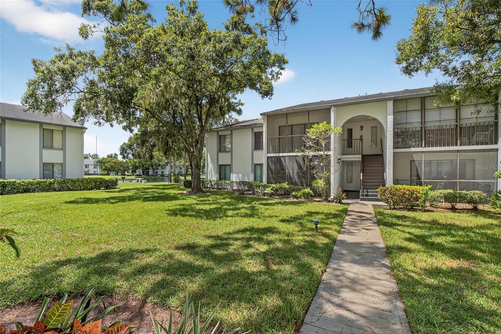 PINE RIDGE AT LAKE TARPON VILLAGE - Residential